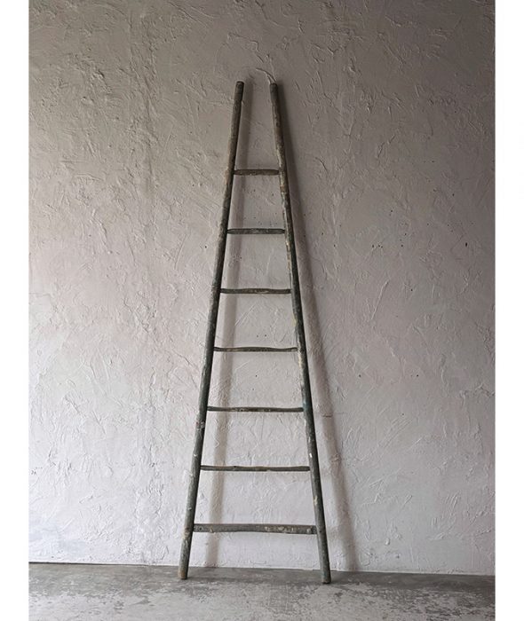 ladder